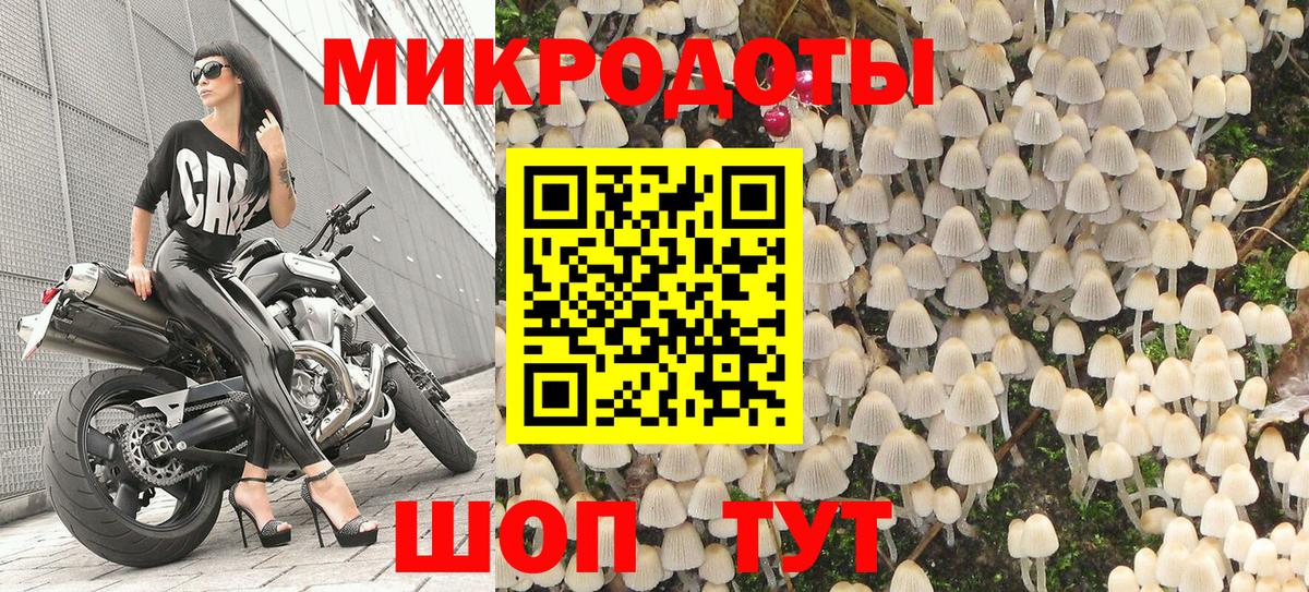 Галлюциногенные грибы Cubensis  Псилоцибиновые грибы Psilocybe  Донецк  Вход с VPN 